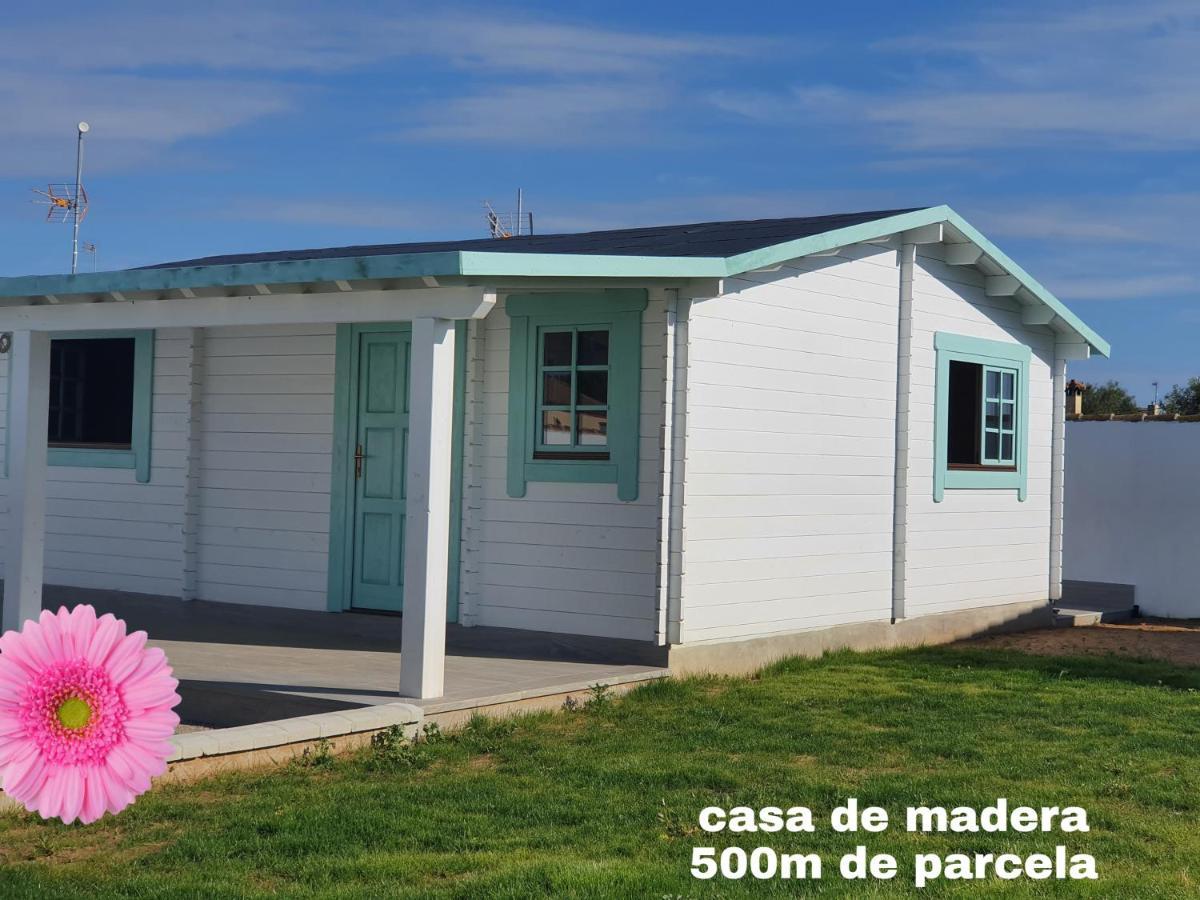 Apartamento Mint House Chiclana de la Frontera Exterior foto